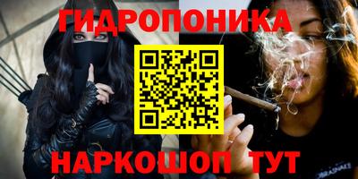 2c-b Гусиноозёрск